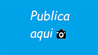 Publica aquí